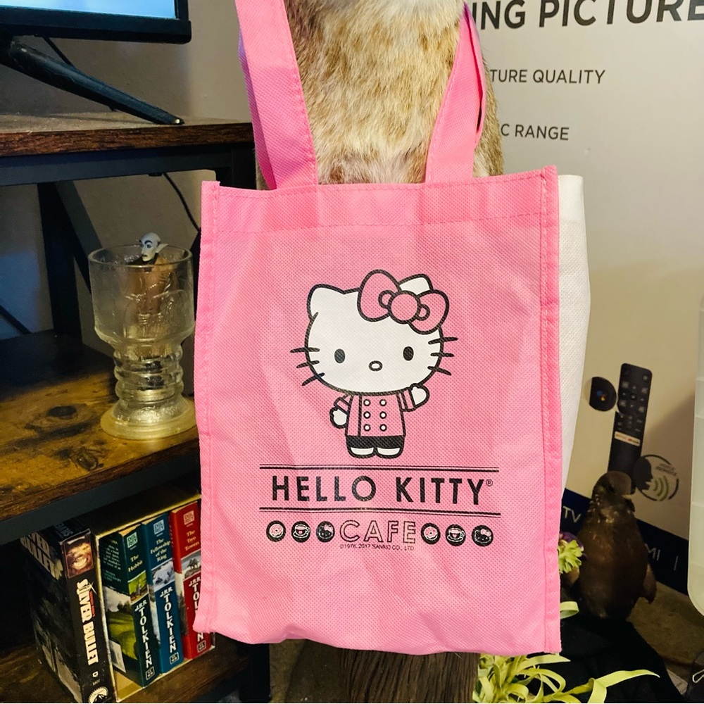 hello kitty bag